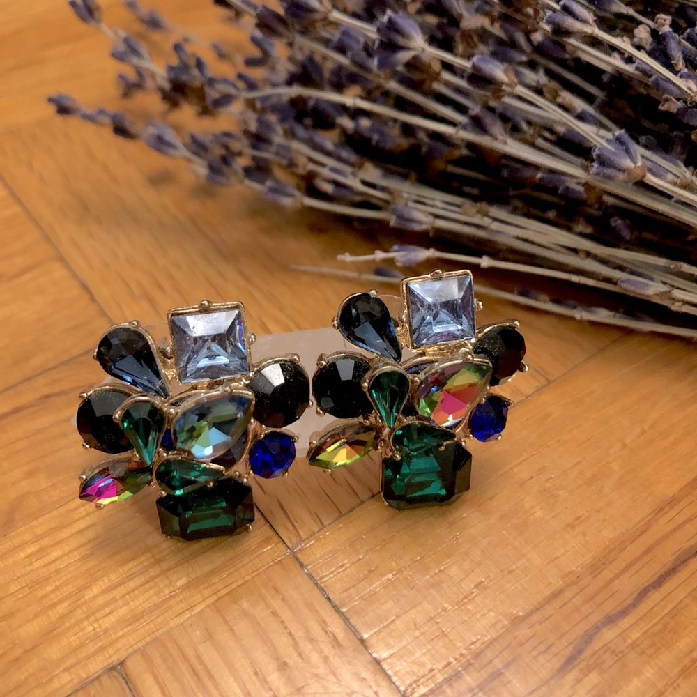 Beautiful chic multicolored statement earings